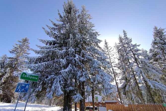 From Krakow: Zakopane & Chocholowskie Thermal Baths - From Krakow at 9:00 am, With Pickup That Saves Time