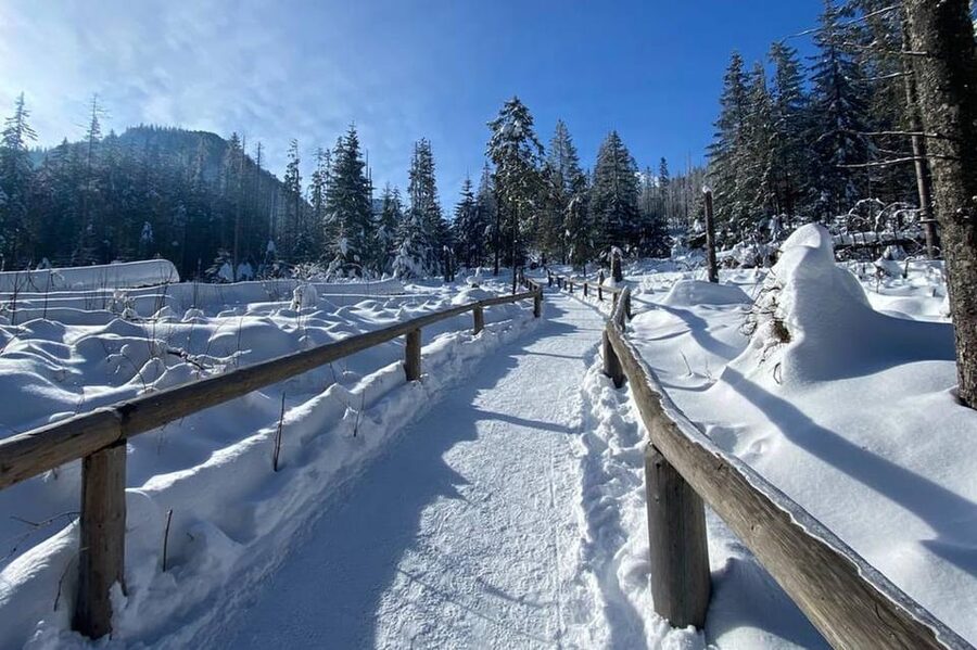 From Krakow: Zakopane Day Trip with Funicular & Food Tasting - Who should book this Zakopane day trip