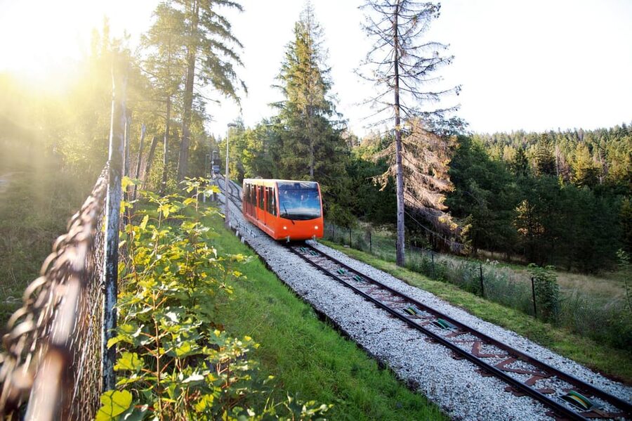 From Krakow: Zakopane Day Trip with Funicular & Food Tasting - Cheese and drink tasting: why the shepherd-hut stop works
