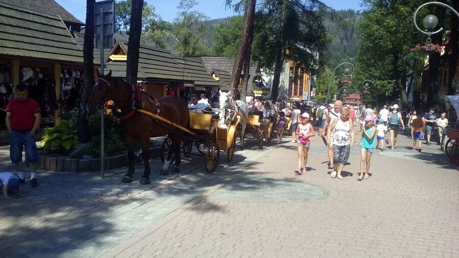 From Krakow: Zakopane & Hot Thermal Springs Private Tour - Weather, timing, and what to bring for a smooth day