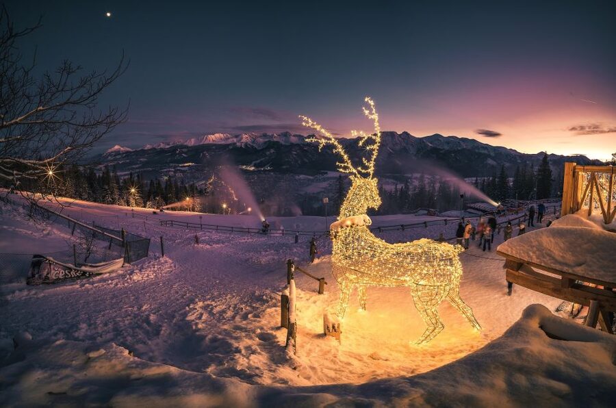 From Krakow: Zakopane & Hot Thermal Springs Private Tour - Chocholowska Thermal Baths: pools, jacuzzis, saunas, and slide time