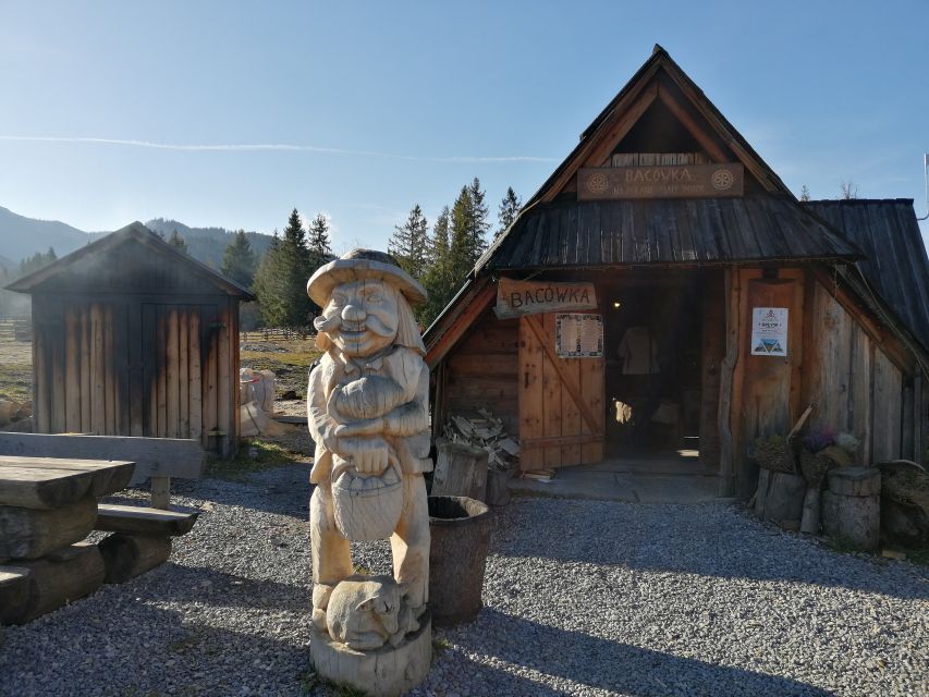 From Krakow: Zakopane & Hot Thermal Springs Private Tour - The guide-driver factor: what to expect from real day-tours
