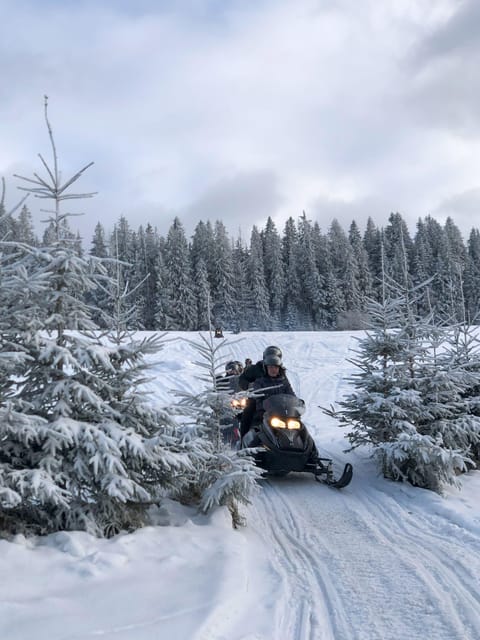 From Krakow: Zakopane Snowmobile NIGHT Ride, Bonfire, - Oscypek and Mulled Wine: Why This Stop Is More Than Food