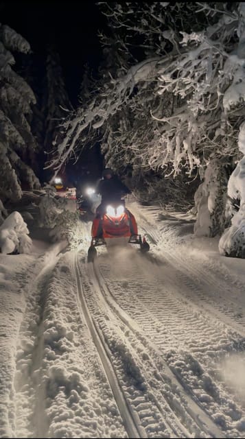 From Krakow: Zakopane Snowmobile NIGHT Ride, Bonfire, - Zakopane in Winter: Coffee Break and Photo Stop Energy