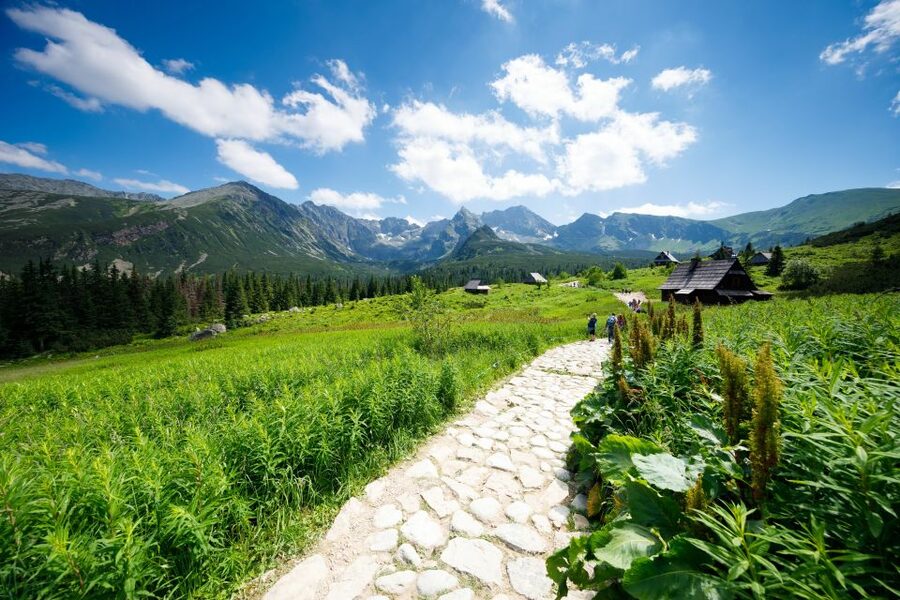 From Krakow: Zakopane Tatra Mountains & Hot Springs Tour - Krupówki Street in Zakopane: Souvenirs and Real Street Life