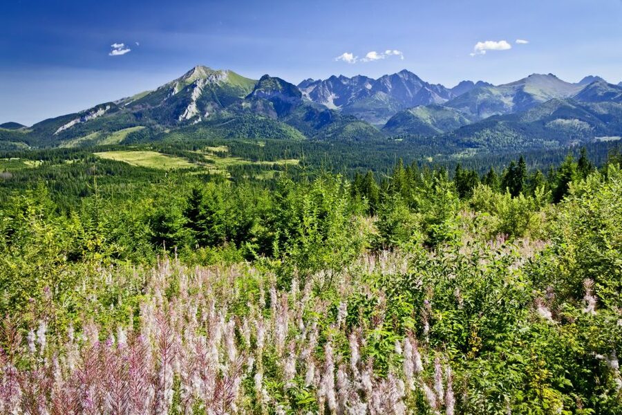 From Krakow: Zakopane Tatra Mountains & Hot Springs Tour - Mountains, Town, and Baths, in One Schedule