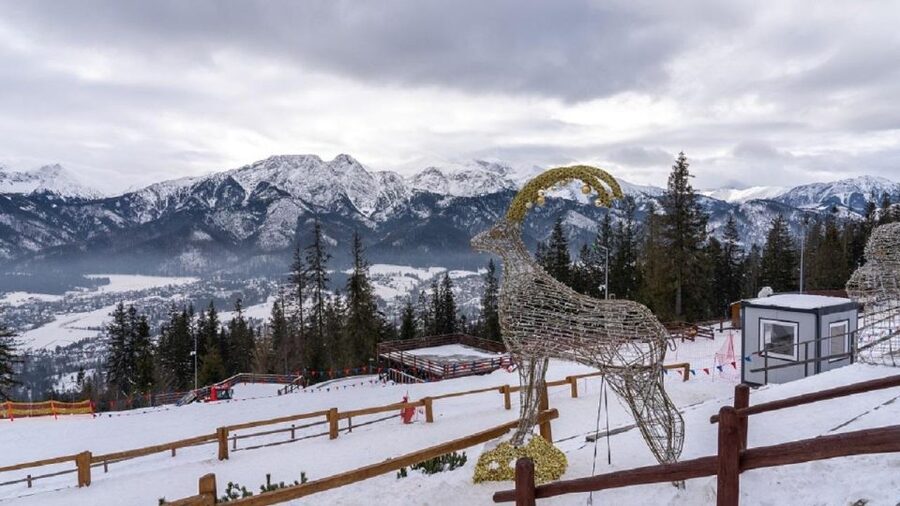 From Krakow: Zakopane + Thermal Baths - Krupówki street time: souvenirs, local pace, and easy people-watching