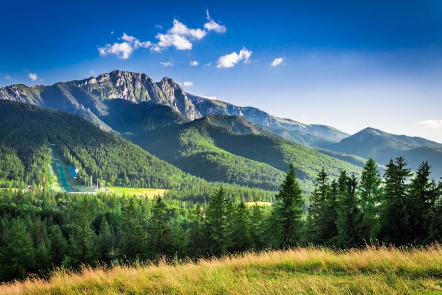 From Krakow: Zakopane Tour with Gubalowka Funicular & Museum - Oscypek and Podhale culture: the fastest way to feel the region