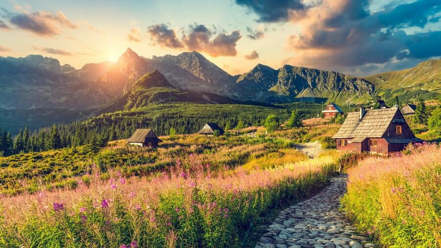 From Krakow: Zakopane Tour with Thermal Spa & Hotel Pickup - Guides and the small-group feel that makes the day better