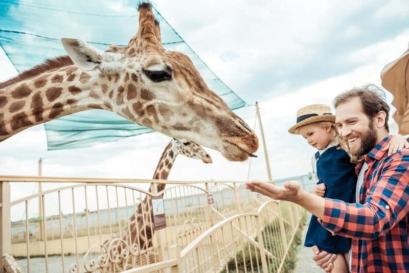 From Krakow: Zoo Trip with Private Luxury Transfer - How the 2.5-hour private transfer and zoo visit really plays out