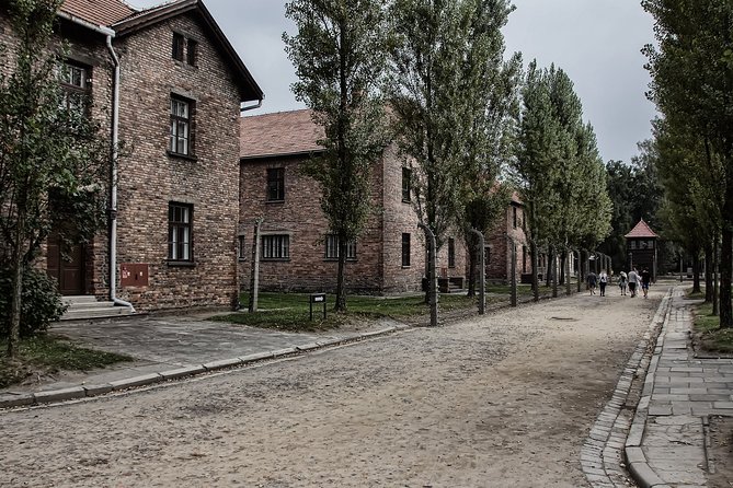 Full-Day Auschwitz and Birkenau Tour from Krakow with Private Transfer - Birkenau II: big scale, uneven ground, and tight time reality