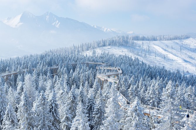 Full-Day Tour of Zakopane and Sky Walk Heart of Poronin - A 10-hour plan that actually helps you see more than one thing