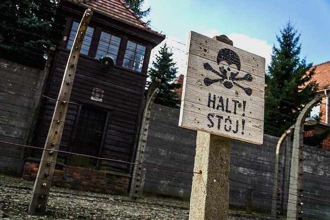 Full day tour to Auschwitz-Birkenau and Salt Mine with a local guide from Krakow - Auschwitz-Birkenau, museum-guided and timed in two stages