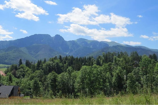 Full-Day Zakopane and Slovakia Treetop Walk From Krakow - Key moments that make this day work