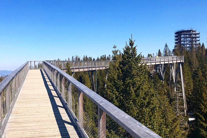 Full-Day Zakopane and Slovakia Treetop Walk From Krakow - Gubalowka funicular ride: easy altitude with viewpoint payoff