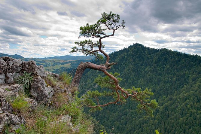 Half-Day Dunajec River Rafting tour from Krakow - Key things you’ll notice on this Dunajec rafting day