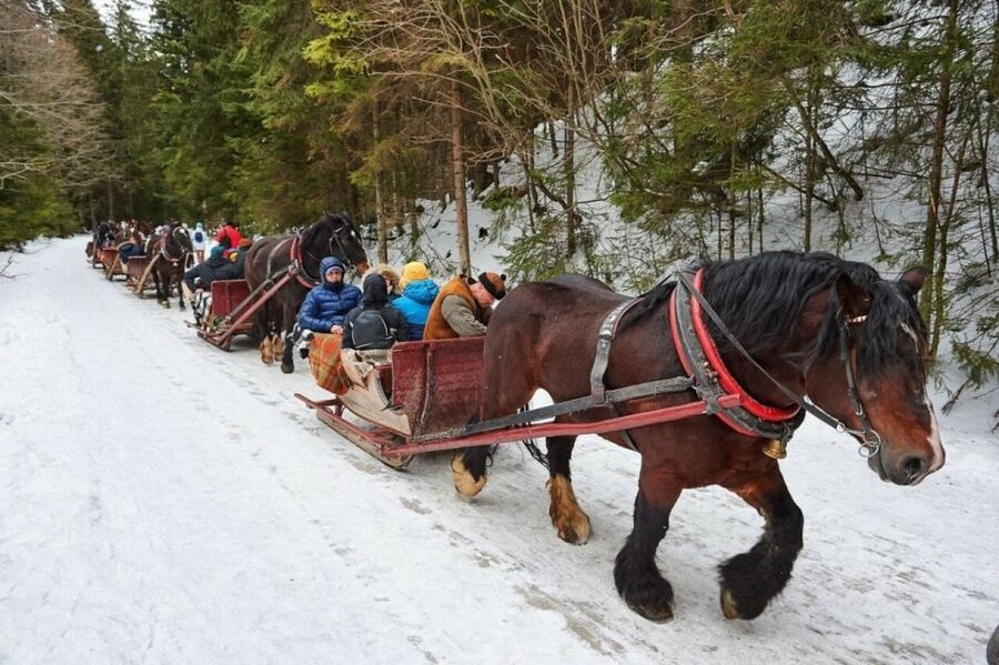 Horse Sleigh 2-3h Ride with Hot Springs or Zakopane Combos - Key highlights you should care about