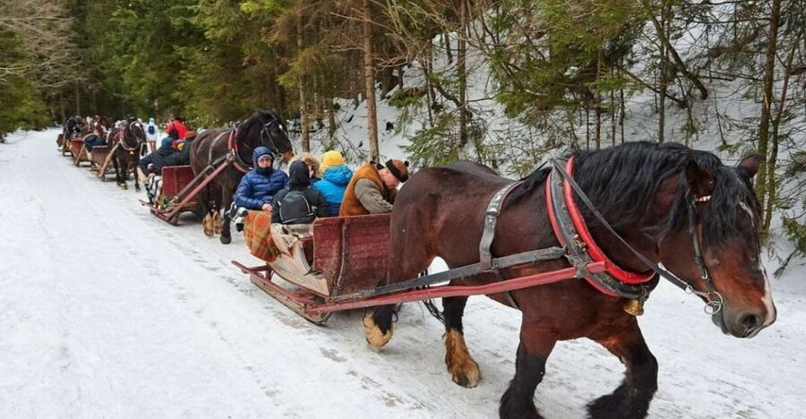 Horse Sleigh 2-3h Ride with Hot Springs or Zakopane Combos - Zakopane sleigh ride and mountain views, what makes this day work