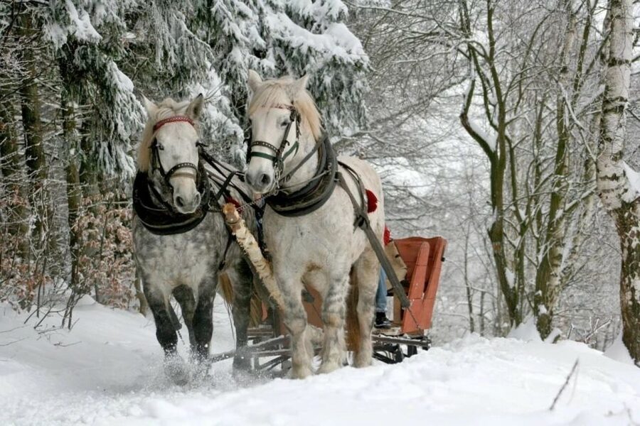 Horse Sleigh 2-3h Ride with Hot Springs or Zakopane Combos - Chocholow village and wooden chapels, a stop that adds real character