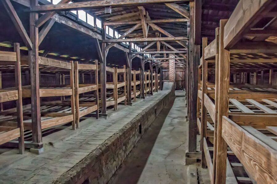 Krakow: Auschwitz and Wieliczka Salt Mine Combo Tour - Who this combo tour is best for