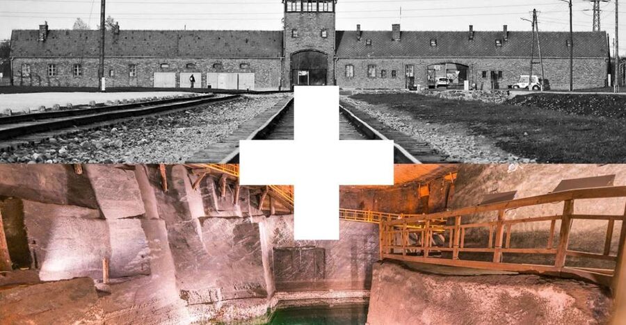 Krakow: Auschwitz-Birkenau and Salt Mine Guided Tour - Transfers, free time, and breaks: how to avoid the fatigue trap
