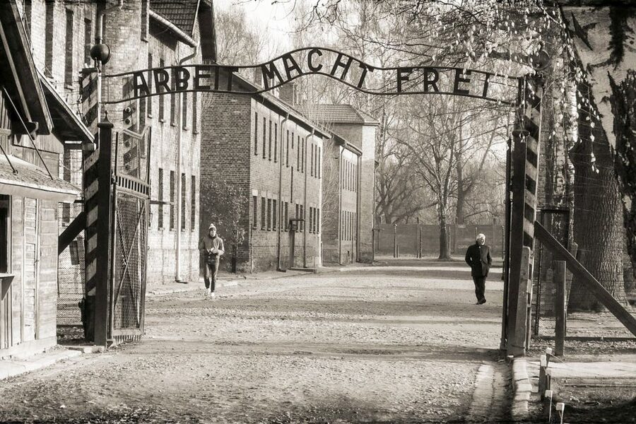 Krakow: Auschwitz-Birkenau and Salt Mine Guided Tour - Who this tour is best for (and who should skip it)