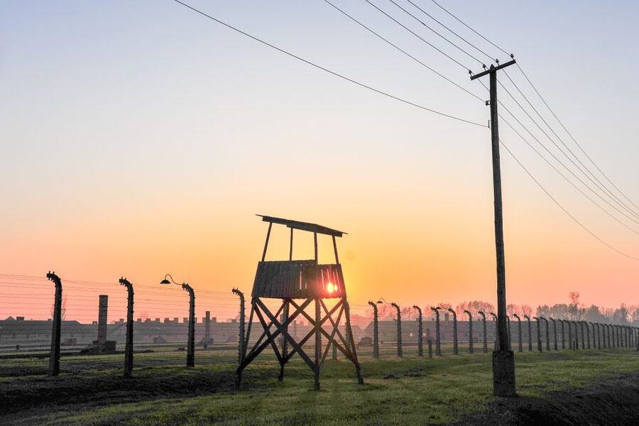 Krakow: Auschwitz-Birkenau and Salt Mine Guided Tour - Should you book this Auschwitz-Birkenau and Salt Mine tour?