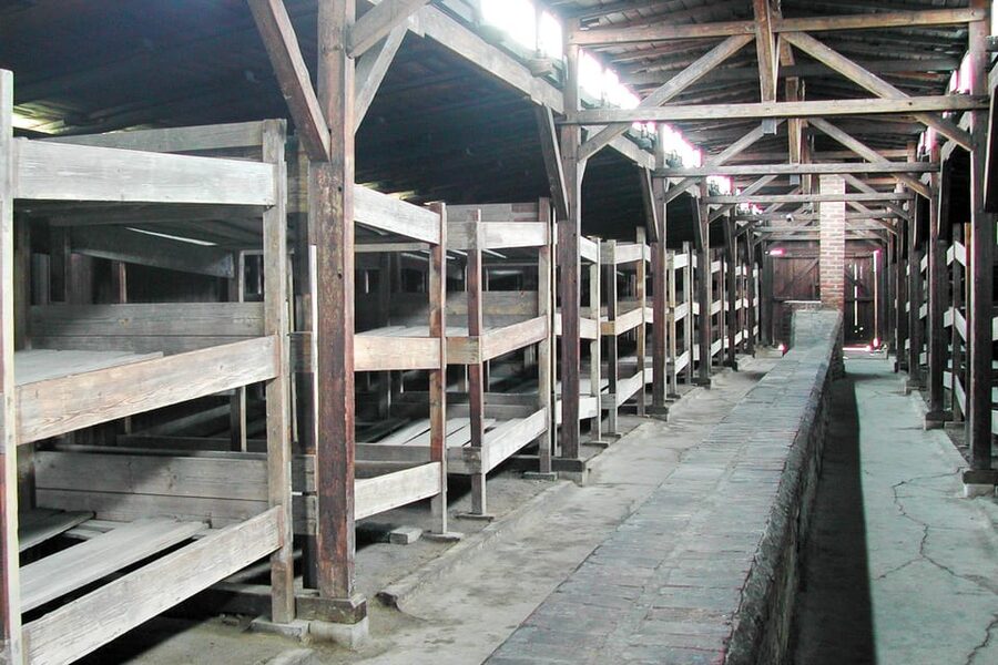 Krakow: Auschwitz-Birkenau Day Trip with Tour Leader - Key things to know before you go