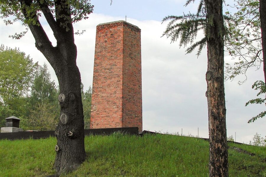 Krakow: Auschwitz-Birkenau Day Trip with Tour Leader - FAQ
