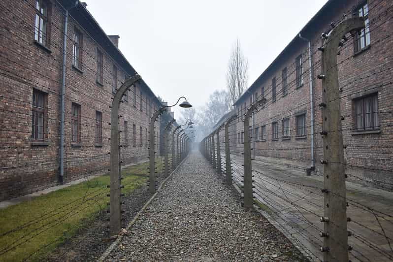 Krakow: Auschwitz-Birkenau Day Trip with Tour Leader - Auschwitz-Birkenau from Krakow: what this $37 day trip really delivers
