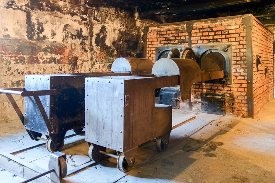 Krakow: Auschwitz-Birkenau Day Trip with Tour Leader - Self-guided with an online guidebook: making it work in real life