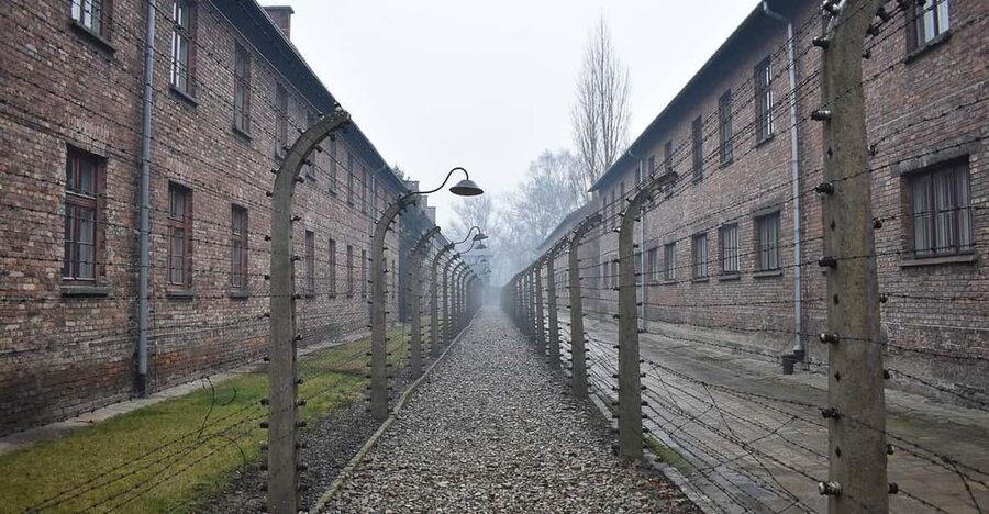 Krakow: Auschwitz-Birkenau Day Trip with Tour Leader - Should you book this Auschwitz-Birkenau day trip?