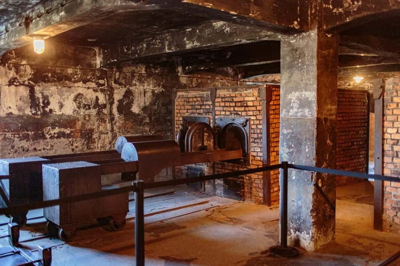 Krakow: Auschwitz-Birkenau Entry Ticket and Transfer - Key points before you go