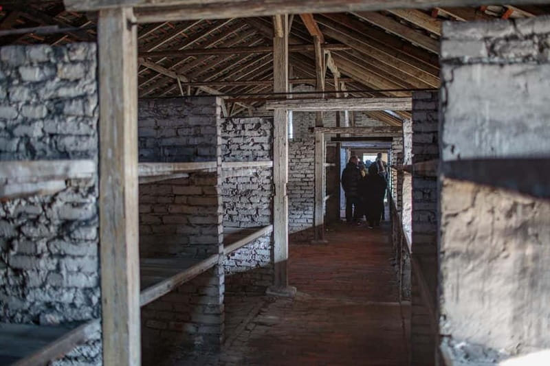 Krakow: Auschwitz-Birkenau Entry Ticket and Transfer - Should you book this Auschwitz-Birkenau tour with transfer?