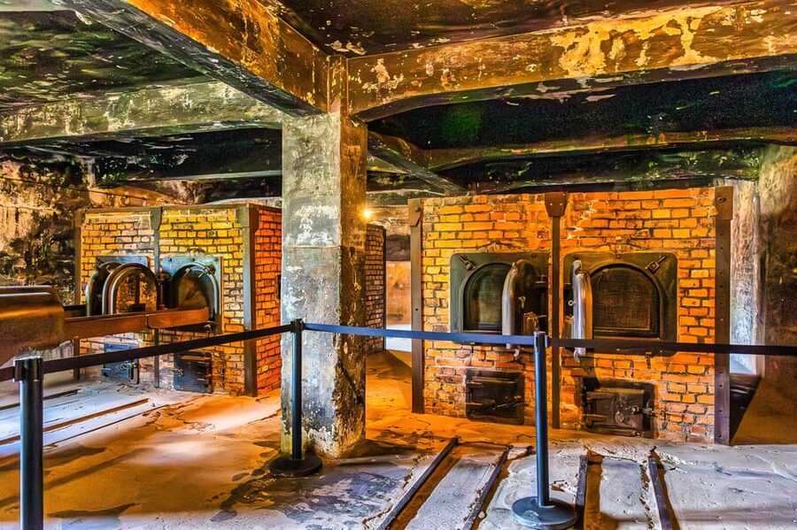 Krakow: Auschwitz-Birkenau Guided Tour and Private Transport - Why This Krakow Auschwitz-Birkenau Day Trip Works