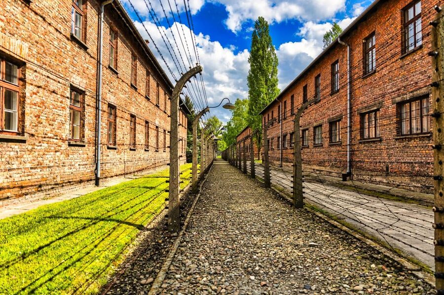 Krakow: Auschwitz-Birkenau Guided Tour and Private Transport - Price and Value: Is $387 per Person Worth It?