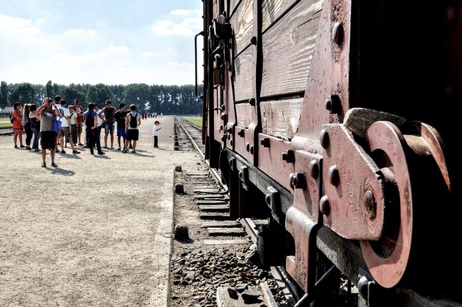 Krakow: Auschwitz-Birkenau Guided Tour Pickup/Lunch Options - Who this tour suits, and who should think twice