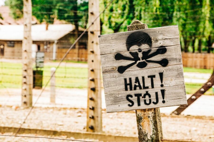Krakow: Auschwitz-Birkenau Live Guided Tour & Hotel Pickup - The Ride Part: Mercedes Transport and a Documentary Primer