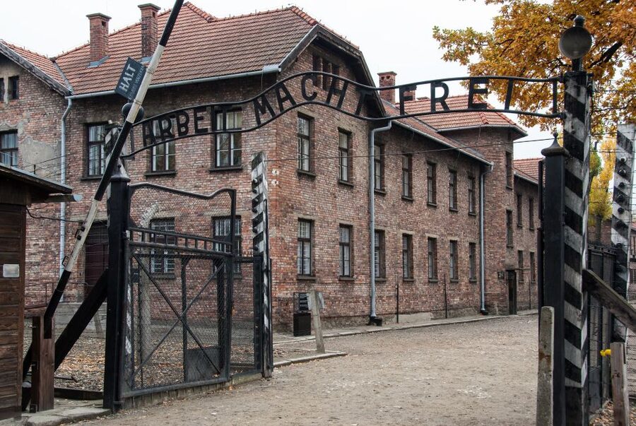 Krakow: Auschwitz Birkenau Museum Guided Tour with Pickup - Small Group, Skip-The-Line, and the Logistics That Matter Most