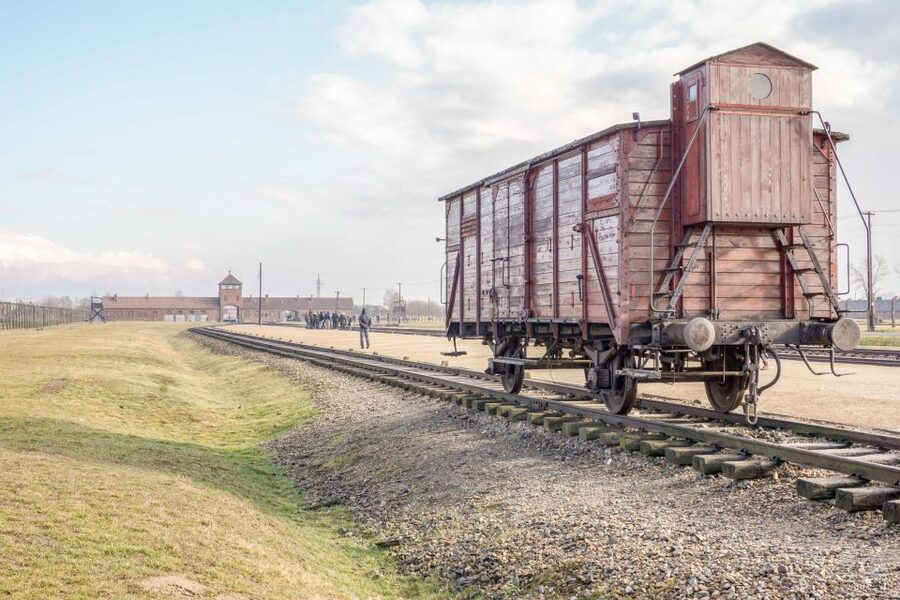 Krakow: Auschwitz Birkenau Museum Guided Tour with Pickup - How the Live Guide and Audio Work Together
