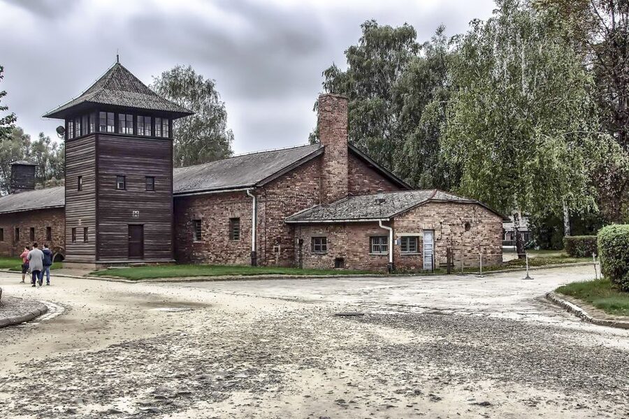 Krakow: Auschwitz Birkenau Museum Guided Tour with Pickup - Timing, Pace, and the Reality of a 7-Hour Day
