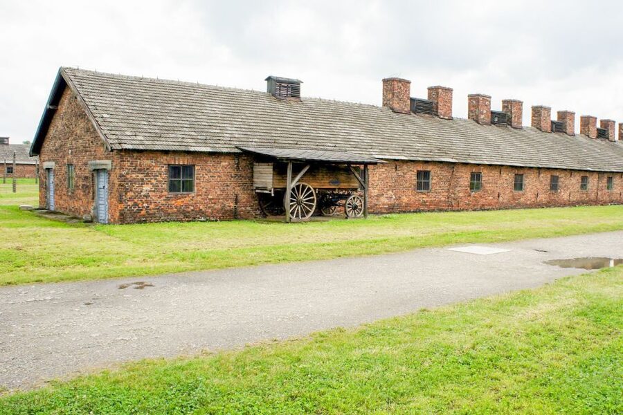 Krakow: Auschwitz Birkenau Museum Guided Tour with Pickup - What’s Included, and Why the Price Can Feel Like a Bargain