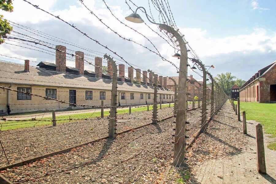 Krakow: Auschwitz Birkenau Museum Guided Tour with Pickup - The Road Segment: What You’ll Do Before the Main Visit