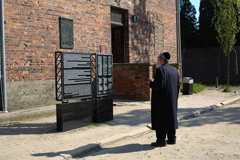 Krakow: Auschwitz-Birkenau Private Guided Tour - Key highlights you should know