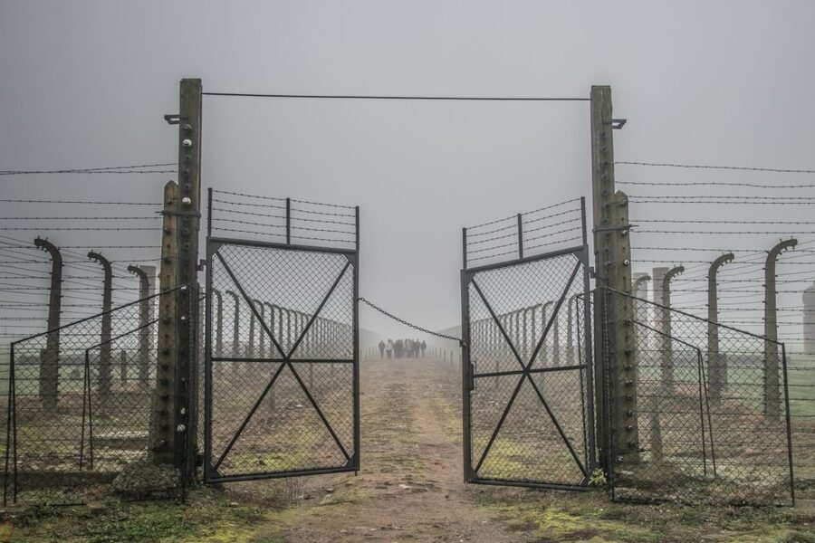 Kraków: Auschwitz-Birkenau & Salt Mine Full-Day Guided Tour - Quick hits you will care about