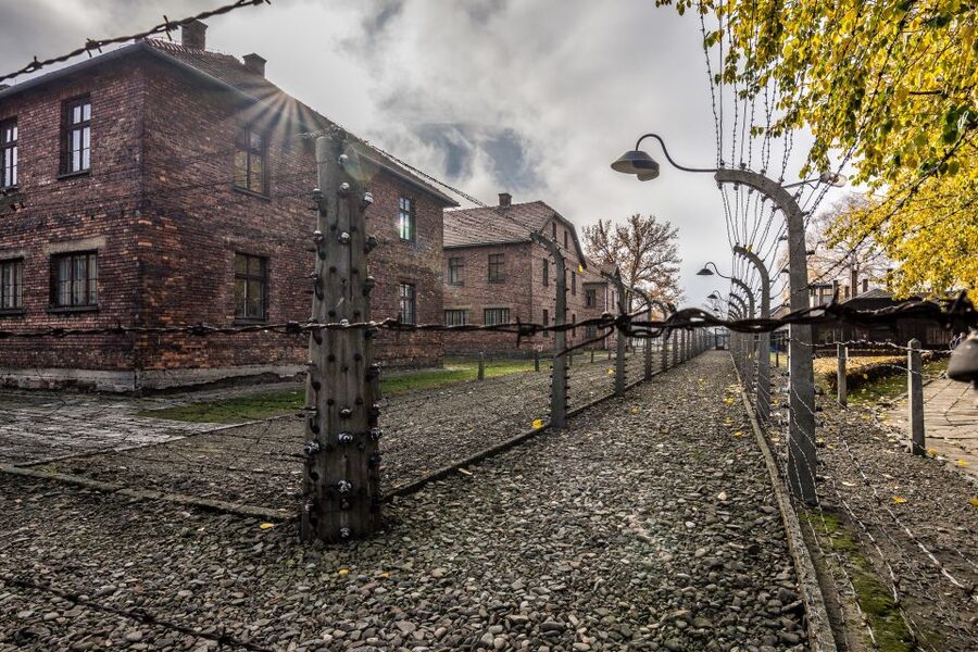 Kraków: Auschwitz-Birkenau & Salt Mine Full-Day Guided Tour - Who This Tour Fits Best (and Who Should Skip It)