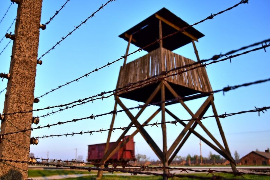 Kraków: Auschwitz-Birkenau & Salt Mine Full-Day Guided Tour - The Ride, the Lunch Break, and Timing for a Long Day
