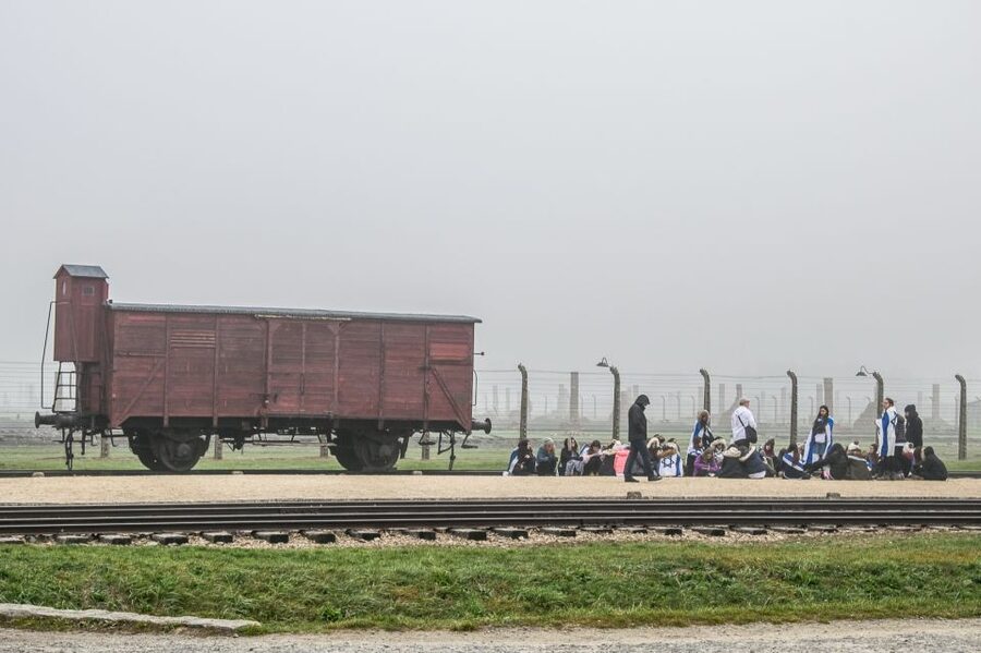 Kraków: Auschwitz-Birkenau & Salt Mine Full-Day Guided Tour - How the Tour Works Day-of: Guides, Headsets, and Group Flow