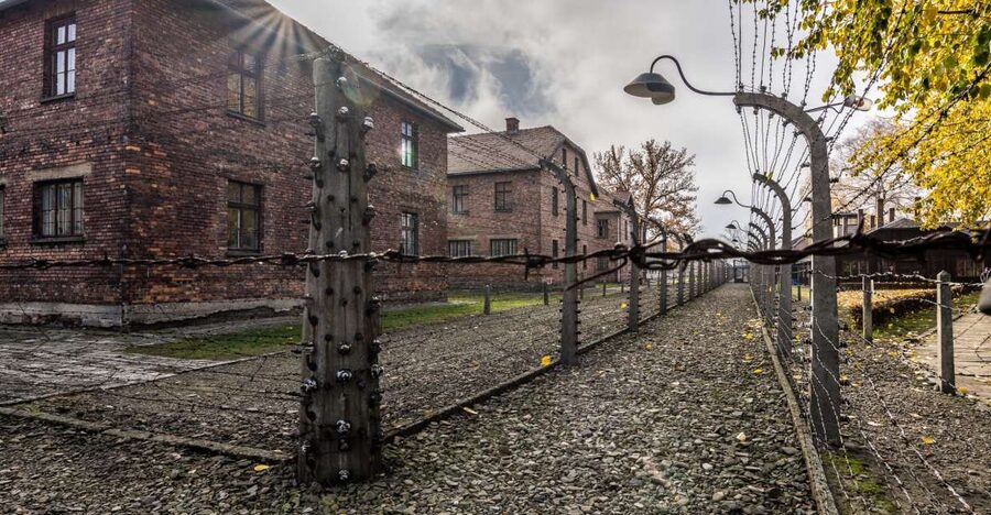 Kraków: Auschwitz-Birkenau & Salt Mine Full-Day Guided Tour - Value in Plain Numbers: Is $27 a Fair Deal?