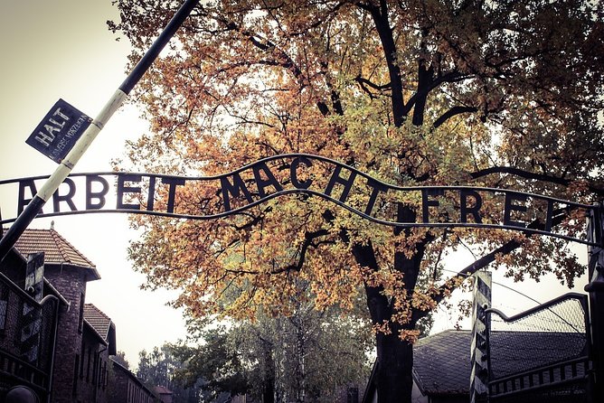 Krakow: Auschwitz-Birkenau Shared English Tour and Transfer - English guide quality: why it matters so much here